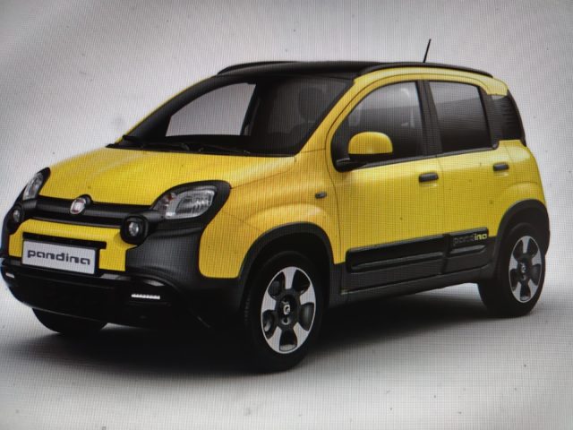 FIAT Panda Cross usata, con ABS