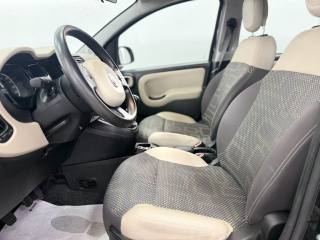 FIAT Panda usata, con Fendinebbia