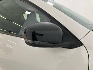 DACIA Spring usata 18