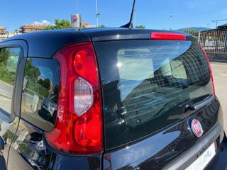 FIAT Panda usata 23