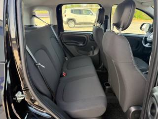 FIAT Panda usata 21