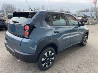 FIAT Grande Panda usata, con Chiusura centralizzata