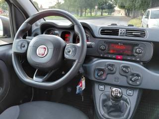 FIAT Panda usata, con Monitoraggio pressione pneumatici