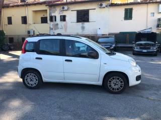 FIAT Panda usata, con Controllo trazione