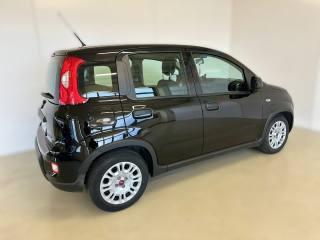 FIAT Panda usata, con Climatizzatore