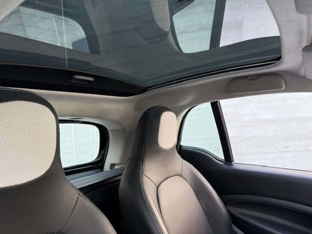 SMART ForTwo usata, con Controllo trazione