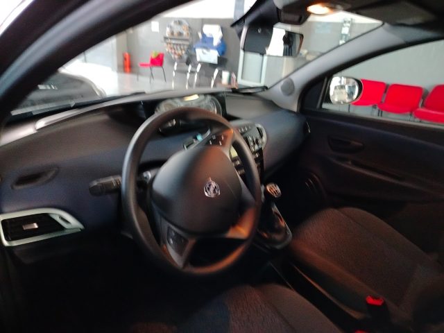LANCIA Ypsilon usata 14