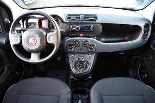 FIAT Panda usata, con Climatizzatore