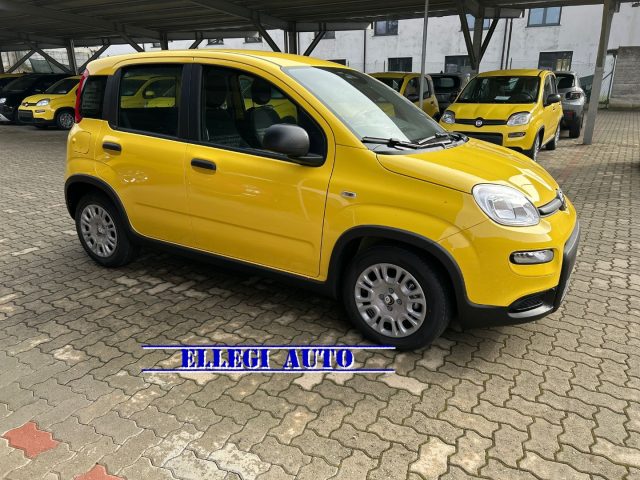 FIAT Panda usata, con Airbag