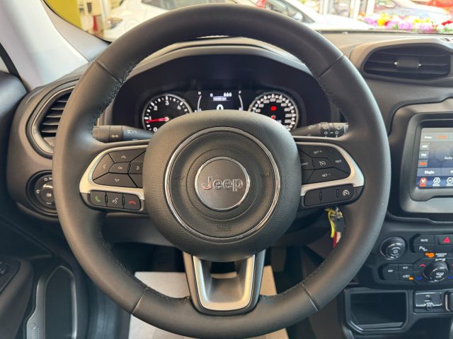 JEEP Renegade usata, con Cruise Control
