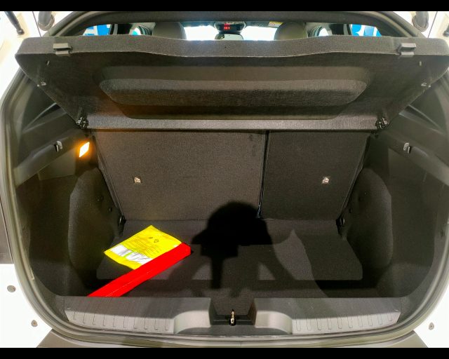 FIAT Grande Panda usata, con Volante multifunzione