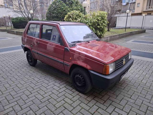 FIAT Panda usata 3