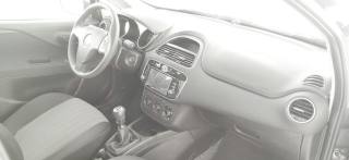 FIAT Punto usata 48