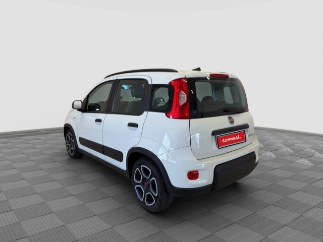 FIAT Panda usata 2