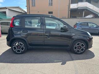 FIAT Panda usata, con Antifurto