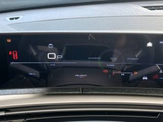 PEUGEOT 3008 usata, con Servosterzo