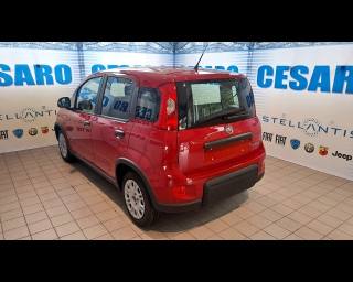 FIAT New Panda usata, con Airbag Passeggero