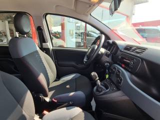 FIAT Panda usata, con Controllo trazione