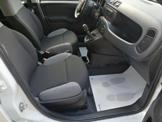 FIAT Panda usata, con ESP