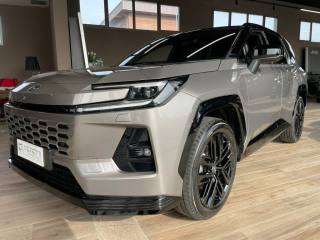 TOYOTA RAV 4 usata, con Cruise Control