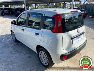 FIAT Panda usata, con Antifurto
