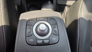 RENAULT Scenic usata, con Sensore di pioggia