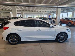FORD Focus usata, con Airbag Passeggero