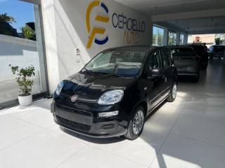 FIAT Panda usata, con Antifurto