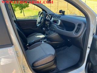FIAT Panda usata, con Start/Stop Automatico
