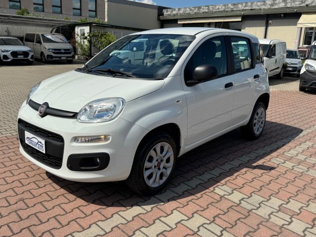 FIAT New Panda usata, con Alzacristalli elettrici