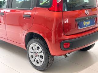 FIAT Panda usata, con Alzacristalli elettrici