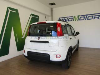 FIAT New Panda usata, con Immobilizzatore elettronico