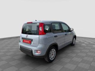 FIAT Panda usata 4