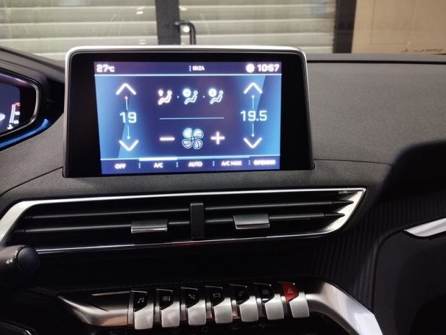PEUGEOT 3008 usata, con Airbag testa