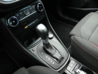 FORD Puma usata, con Fendinebbia