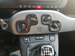 FIAT Panda usata 13