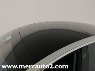 TESLA Model 3 usata 14