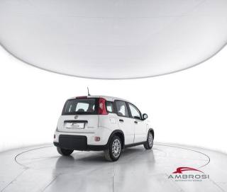 FIAT Panda usata 2