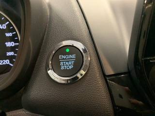 FORD EcoSport usata, con Vetri oscurati