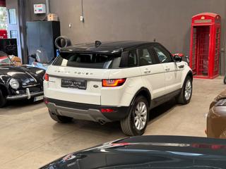 LAND ROVER Range Rover Evoque usata, con Airbag Passeggero
