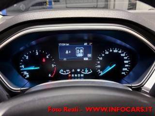 FORD Focus usata, con Cruise Control
