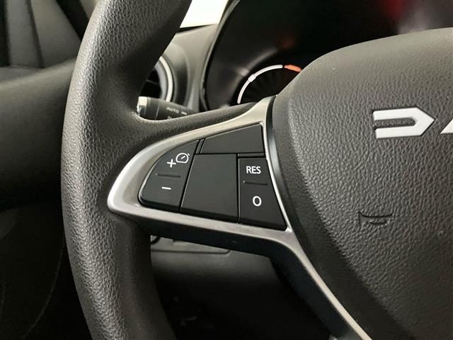 DACIA Spring usata 16