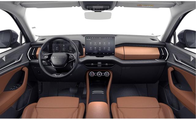 SKODA Kodiaq usata, con Airbag laterali