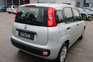 FIAT Panda usata, con Airbag Passeggero