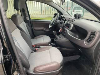 FIAT Panda Cross usata, con Controllo automatico clima
