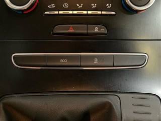 RENAULT Scenic usata 20