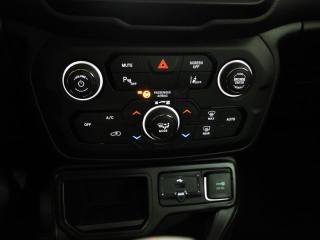 JEEP Renegade usata, con Autoradio digitale