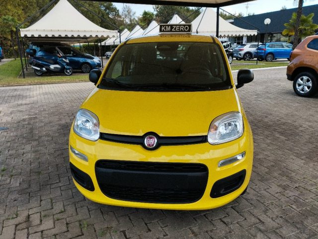FIAT Panda usata, con Airbag Passeggero