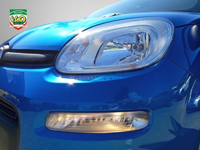 FIAT Panda usata 14