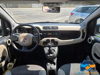 FIAT Panda usata 19